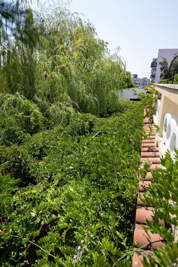 Villa Pontica 那沃达利 外观 照片